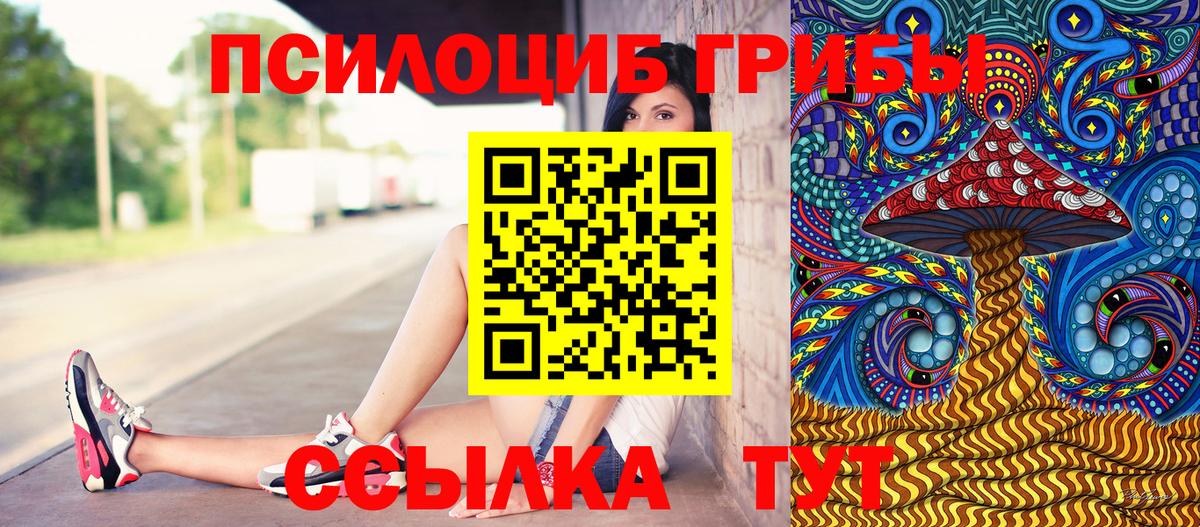 Галлюциногенные грибы MAGIC MUSHROOMS Горно-Алтайск